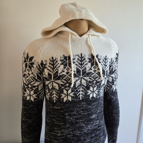 Cozy Knit Hooded Sweater with Snowflake Pattern - Picture 3 of 11